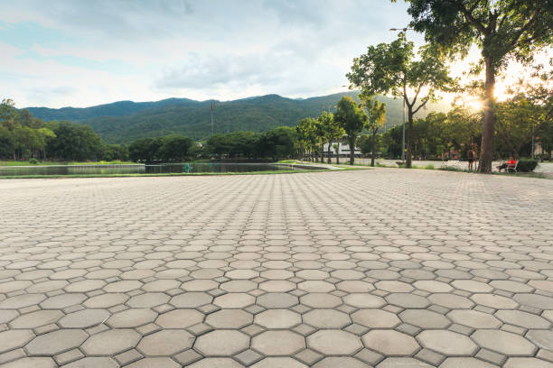 Best Best Driveway Pavers  in Wendell, ID